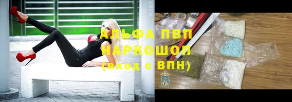 гашик Вязьма
