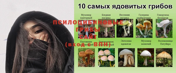 гашик Вязьма