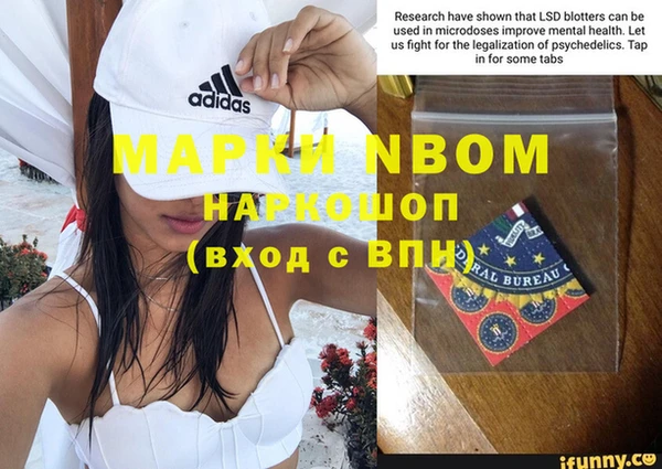 гашик Вязьма