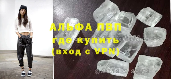 гашик Вязьма